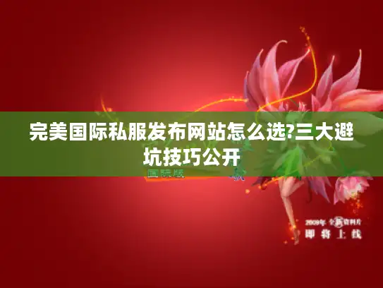 完美国际私服发布网站怎么选?三大避坑技巧公开