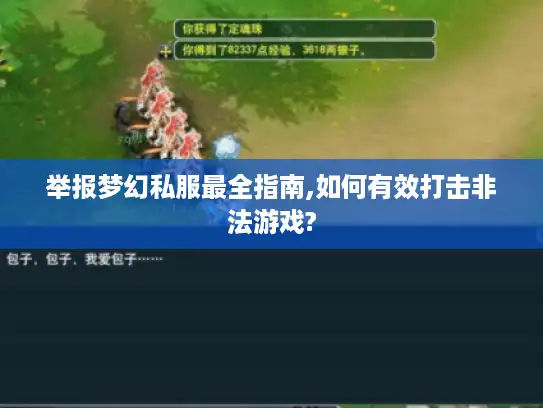 举报梦幻私服最全指南,如何有效打击非法游戏?
