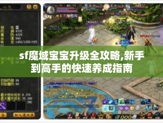 sf魔域宝宝升级全攻略,新手到高手的快速养成指南