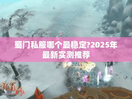 蜀门私服哪个最稳定?2025年最新实测推荐