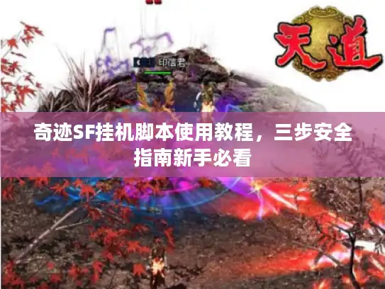 奇迹SF挂机脚本使用教程，三步安全指南新手必看