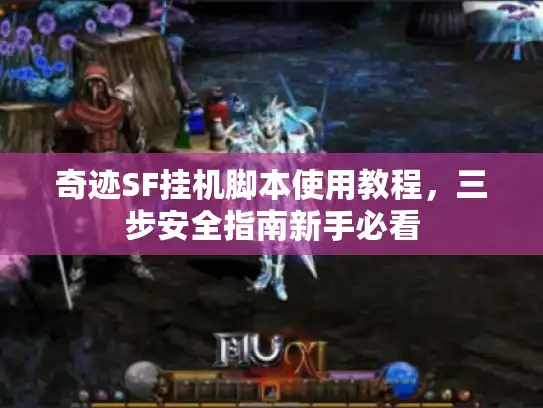奇迹SF挂机脚本使用教程，三步安全指南新手必看