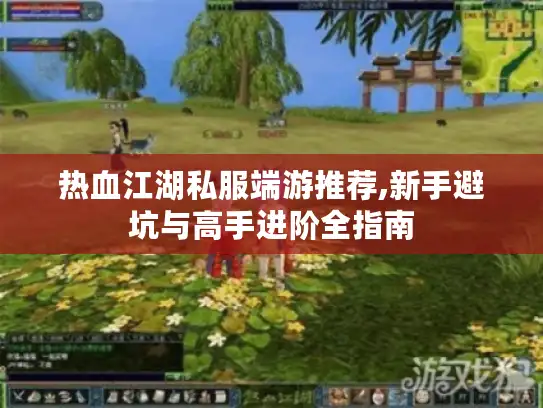 热血江湖私服端游推荐,新手避坑与高手进阶全指南