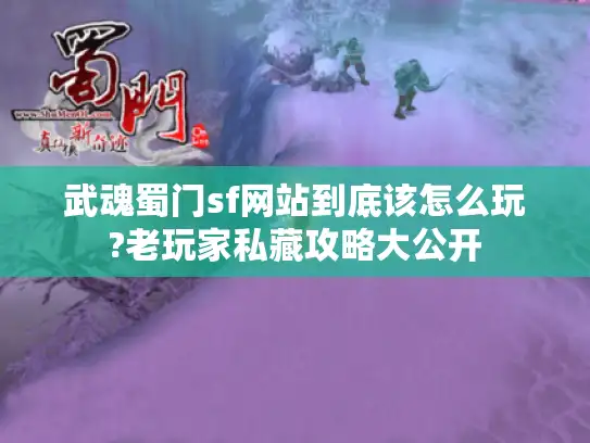 武魂蜀门sf网站到底该怎么玩?老玩家私藏攻略大公开