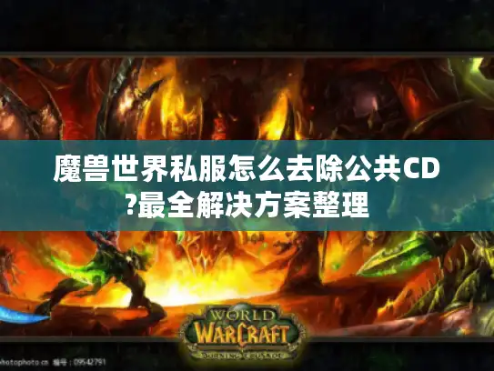 魔兽世界私服怎么去除公共CD?最全解决方案整理