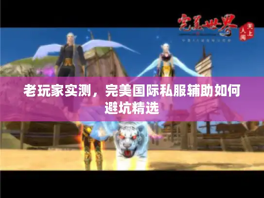 老玩家实测，完美国际私服辅助如何避坑精选