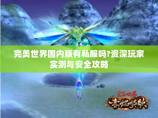 完美世界国内版有私服吗?资深玩家实测与安全攻略