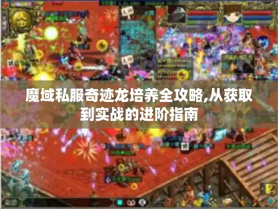 魔域私服奇迹龙培养全攻略,从获取到实战的进阶指南