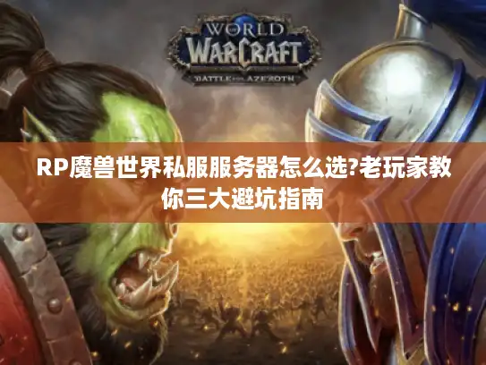 RP魔兽世界私服服务器怎么选?老玩家教你三大避坑指南 RP魔兽世界私服服务器怎么选?老玩家教你三大避坑指南