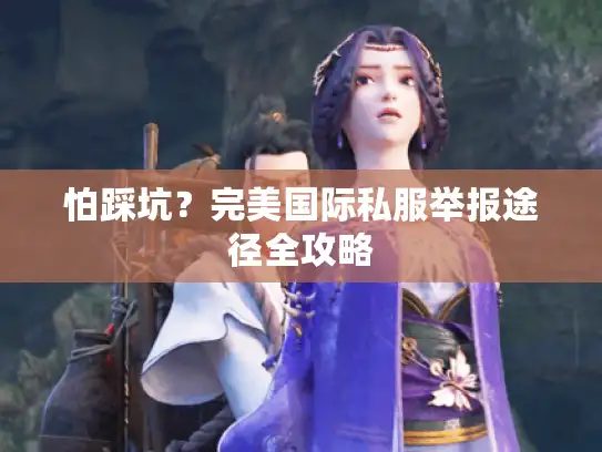 怕踩坑？完美国际私服举报途径全攻略