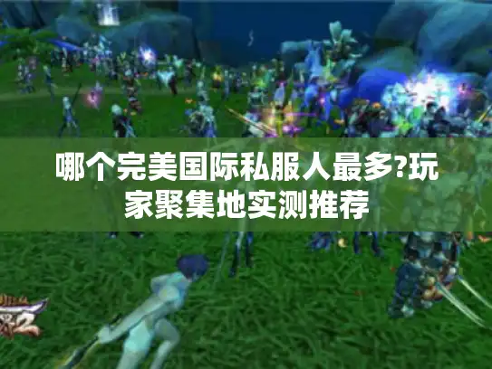 哪个完美国际私服人最多?玩家聚集地实测推荐