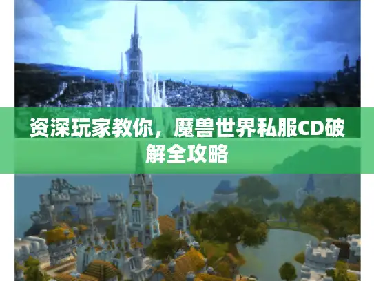 资深玩家教你，魔兽世界私服CD破解全攻略