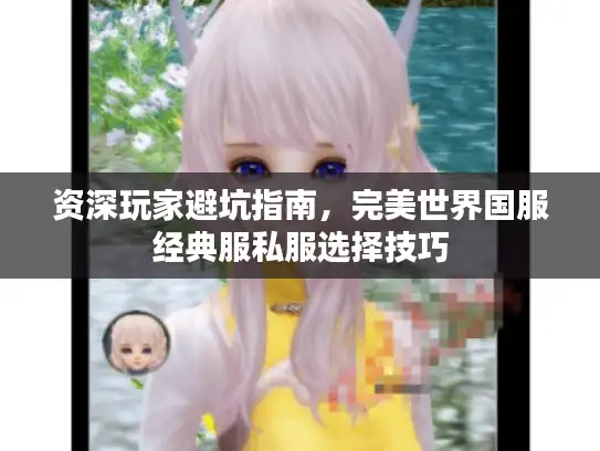 资深玩家避坑指南，完美世界国服经典服私服选择技巧