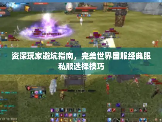 资深玩家避坑指南，完美世界国服经典服私服选择技巧