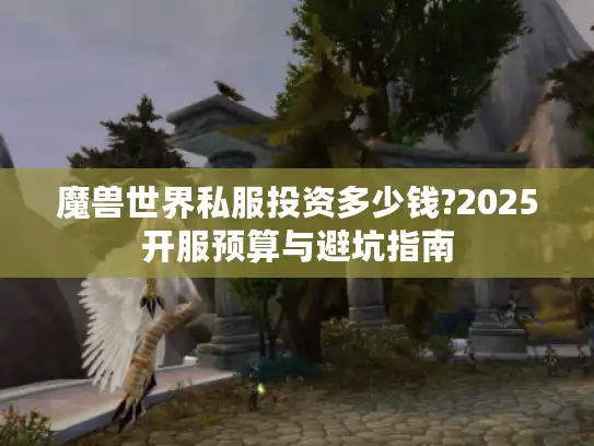 魔兽世界私服投资多少钱?2025开服预算与避坑指南