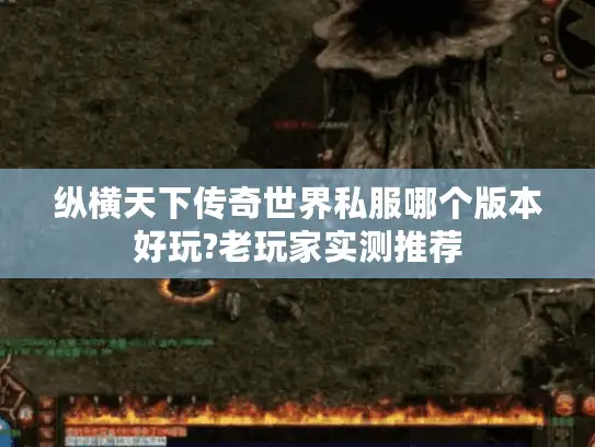纵横天下传奇世界私服哪个版本好玩?老玩家实测推荐