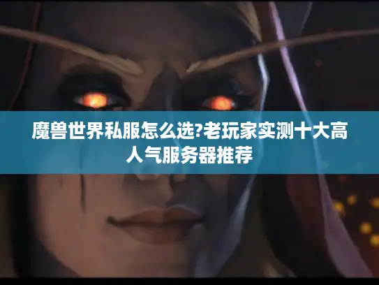 魔兽世界私服怎么选?老玩家实测十大高人气服务器推荐