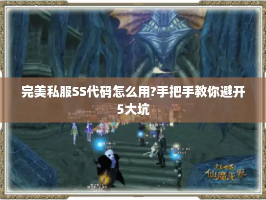 完美私服SS代码怎么用?手把手教你避开5大坑