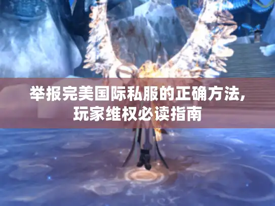 举报完美国际私服的正确方法,玩家维权必读指南