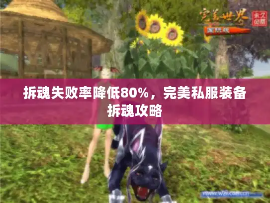 拆魂失败率降低80%，完美私服装备拆魂攻略