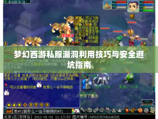 梦幻西游私服漏洞利用技巧与安全避坑指南