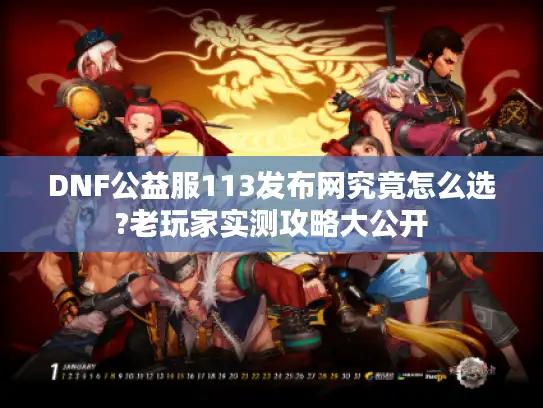 DNF公益服113发布网究竟怎么选?老玩家实测攻略大公开