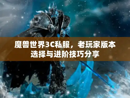 魔兽世界3C私服，老玩家版本选择与进阶技巧分享
