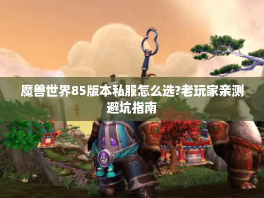 魔兽世界85版本私服怎么选?老玩家亲测避坑指南