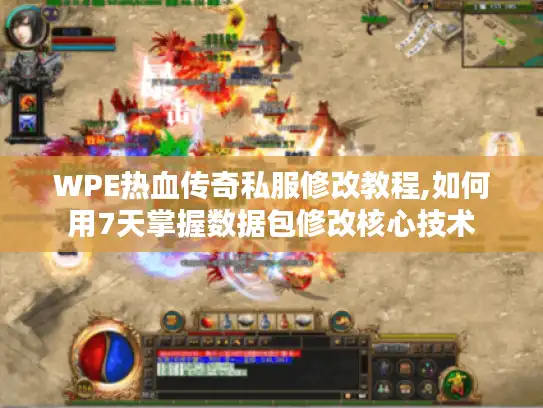 WPE热血传奇私服修改教程,如何用7天掌握数据包修改核心技术