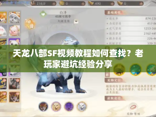 天龙八部SF视频教程如何查找?老玩家避坑经验分享 天龙八部SF视频教程如何查找?老玩家避坑经验分享