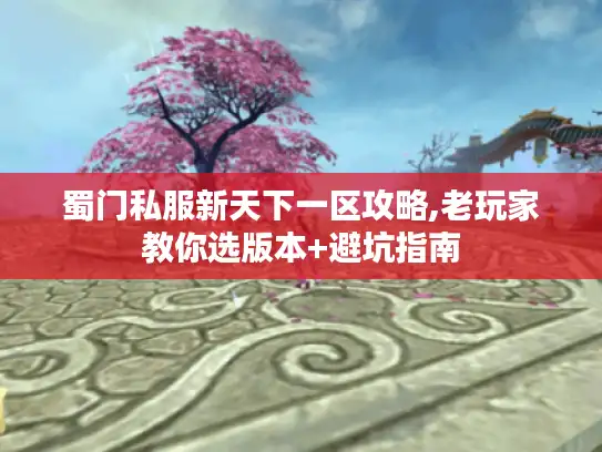 蜀门私服新天下一区攻略,老玩家教你选版本+避坑指南