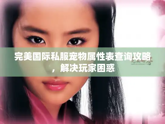 完美国际私服宠物属性表查询攻略，解决玩家困惑