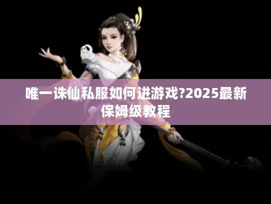 唯一诛仙私服如何进游戏?2025最新保姆级教程