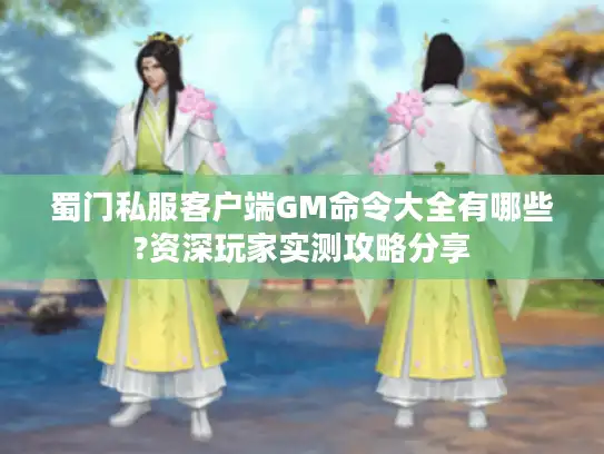 蜀门私服客户端GM命令大全有哪些?资深玩家实测攻略分享