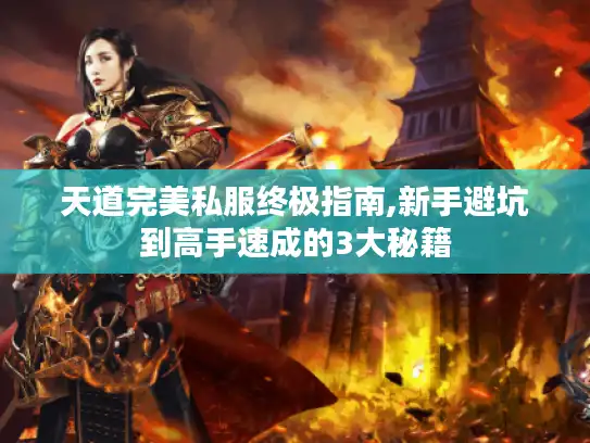 天道完美私服终极指南,新手避坑到高手速成的3大秘籍