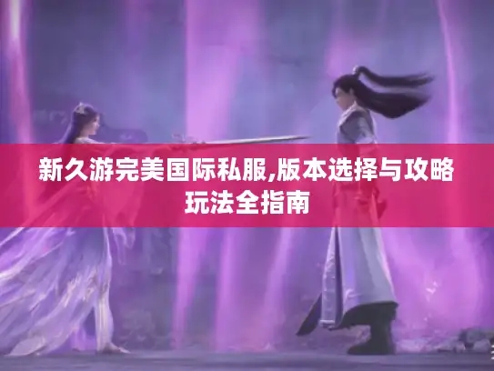 新久游完美国际私服,版本选择与攻略玩法全指南