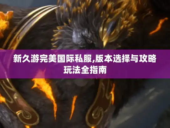 新久游完美国际私服,版本选择与攻略玩法全指南