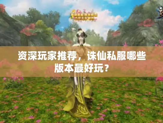 资深玩家推荐，诛仙私服哪些版本最好玩？