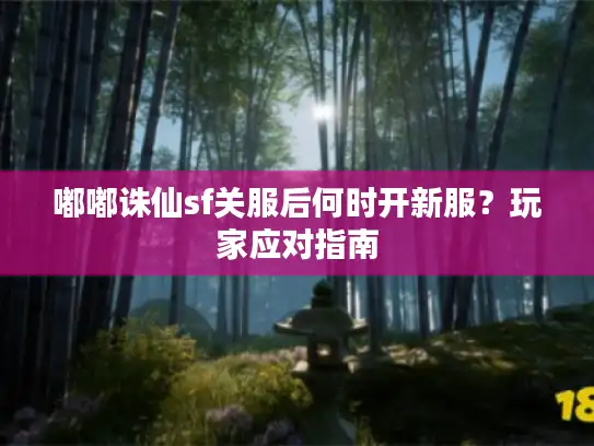 嘟嘟诛仙sf关服后何时开新服？玩家应对指南