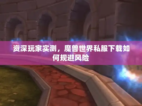 资深玩家实测，魔兽世界私服下载如何规避风险