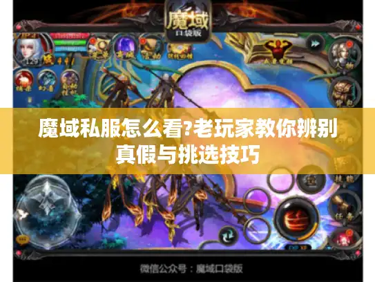 魔域私服怎么看?老玩家教你辨别真假与挑选技巧