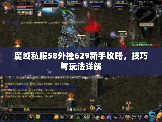 魔域私服58外挂629新手攻略，技巧与玩法详解