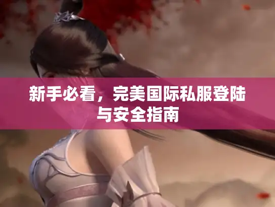新手必看,完美国际私服登陆与安全指南 新手必看,完美国际私服登陆与安全指南
