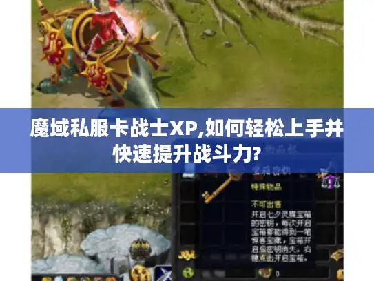 魔域私服卡战士XP,如何轻松上手并快速提升战斗力?