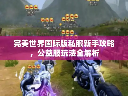 完美世界国际版私服新手攻略，公益服玩法全解析