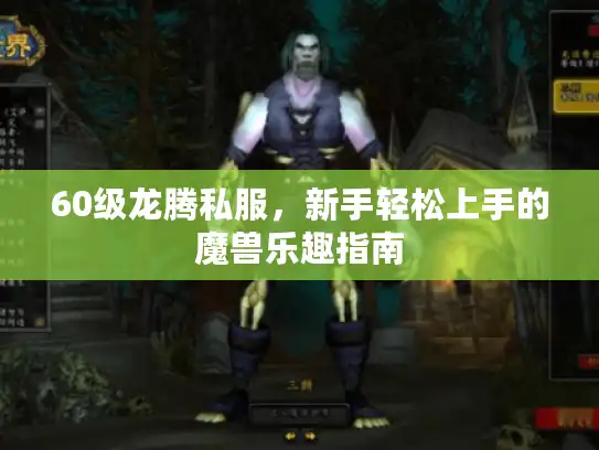 60级龙腾私服，新手轻松上手的魔兽乐趣指南