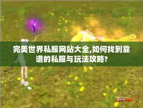 完美世界私服网站大全,如何找到靠谱的私服与玩法攻略?