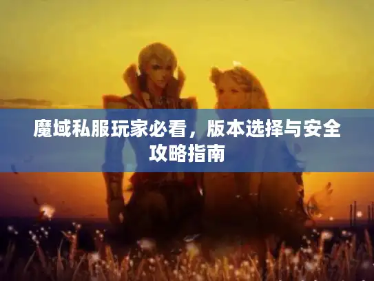 魔域私服玩家必看，版本选择与安全攻略指南