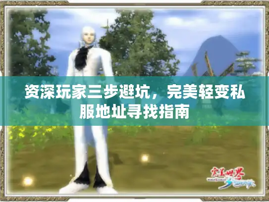 资深玩家三步避坑，完美轻变私服地址寻找指南