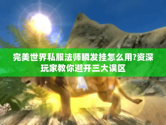 完美世界私服法师瞬发挂怎么用?资深玩家教你避开三大误区